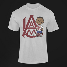 Franklin's Homecoming Tour T-shirt  AA&M